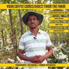 Traditionalist by SARVAANI (83:17)- 250g | Authentic Filter Coffee (Best with Milk)